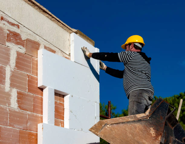 Best Insulation Maintenance and Repair in Memphis, MI